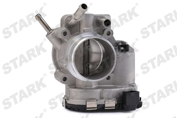 Throttle Body (SKTB-0430257)