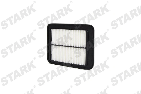 Air Filter (SKAF-0060308)