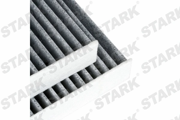 Filter, cabin air (SKIF-0170236)