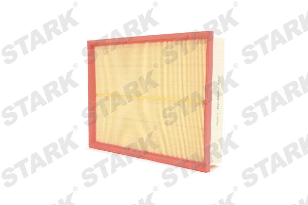 Air Filter (SKAF-0060066)