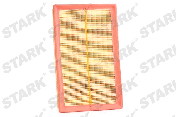 Air Filter (SKAF-0060064)