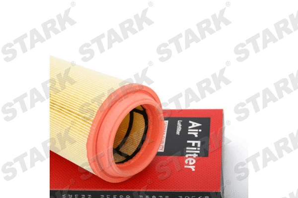 Air Filter (SKAF-0060069)