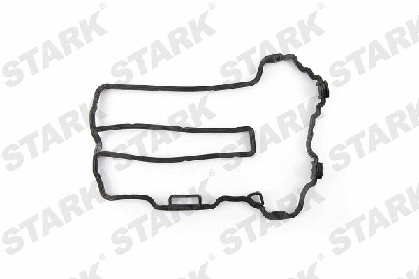 Gasket Set, cylinder head cover (SKGSR-0490024)