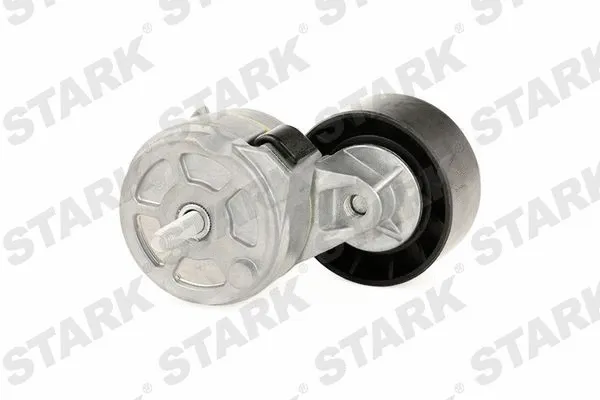 Tensioner Lever, V-ribbed belt (SKVB-0590039)