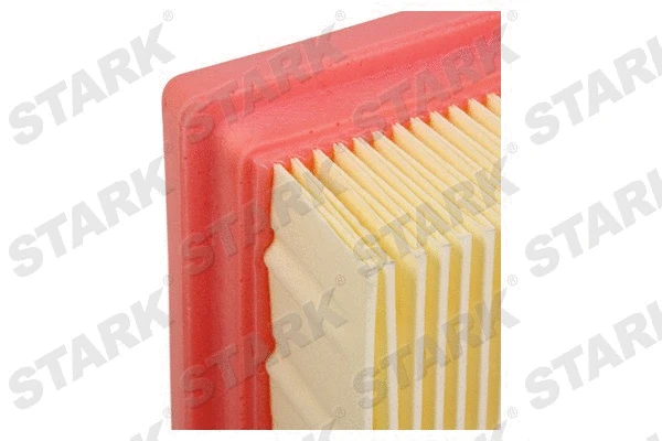 Air Filter (SKAF-0060110)