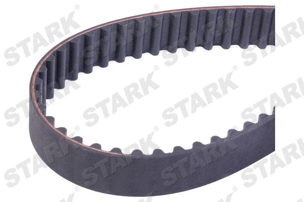 Timing Belt