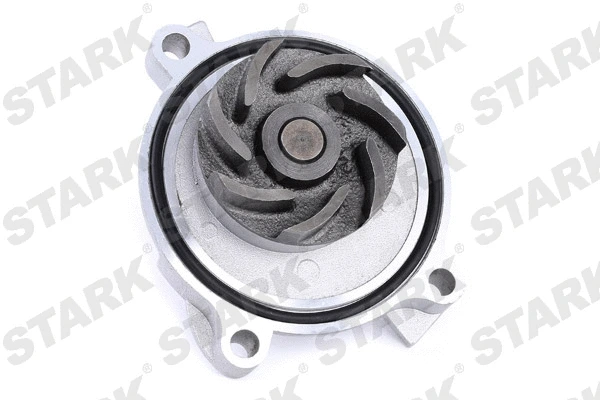 Water Pump & Timing Belt Kit