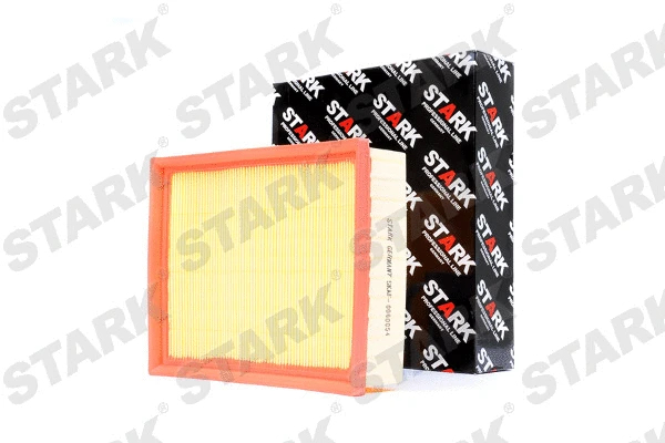 Air Filter (SKAF-0060054)