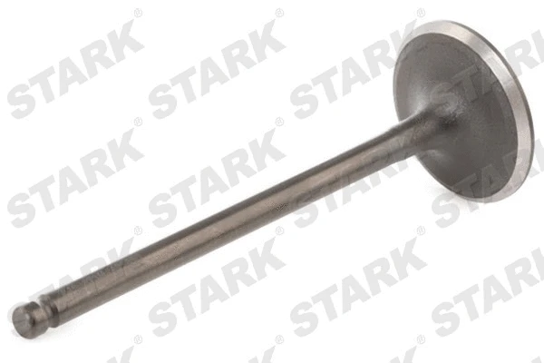 Intake Valve (SKINV-3270042)