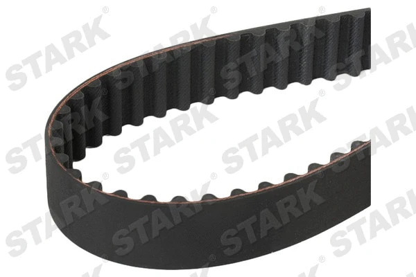 Timing Belt