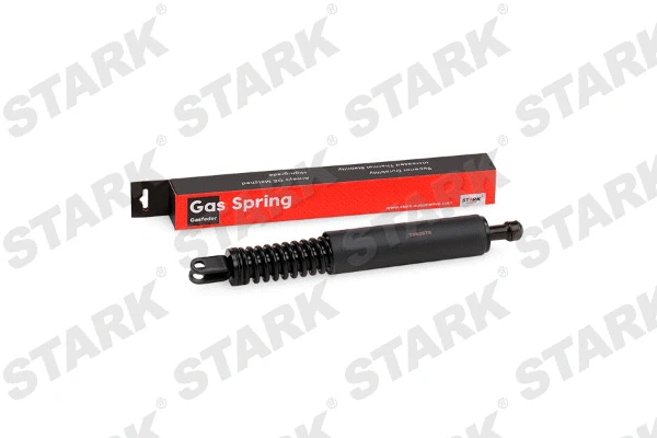 Gas Spring, boot/cargo area