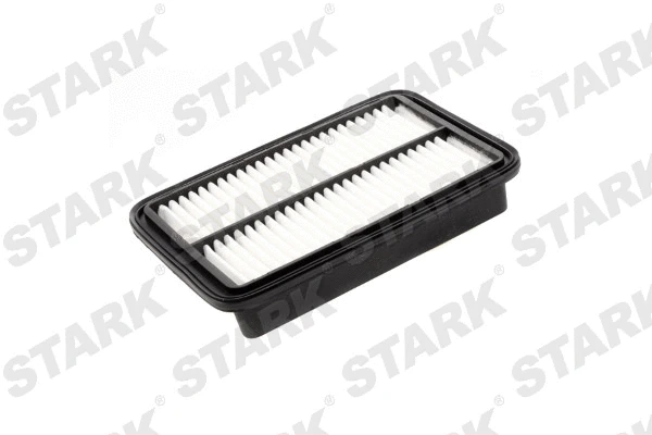 Air Filter (SKAF-0060305)