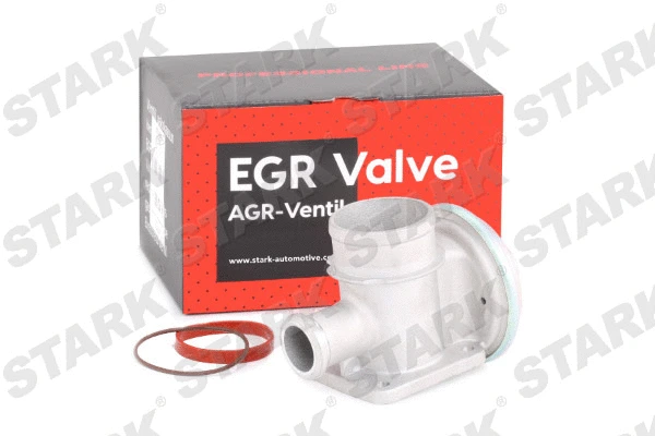 EGR Valve