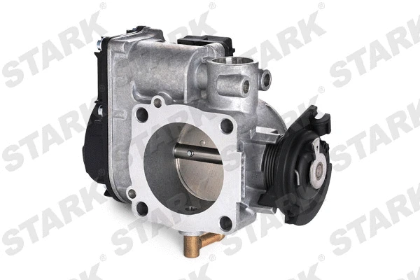 Throttle Body (SKTB-0430050)