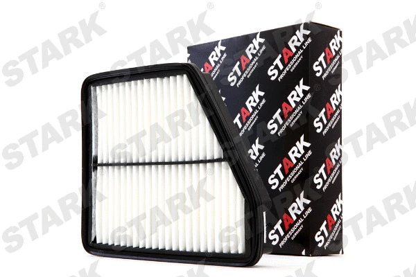 Air Filter (SKAF-0060221)