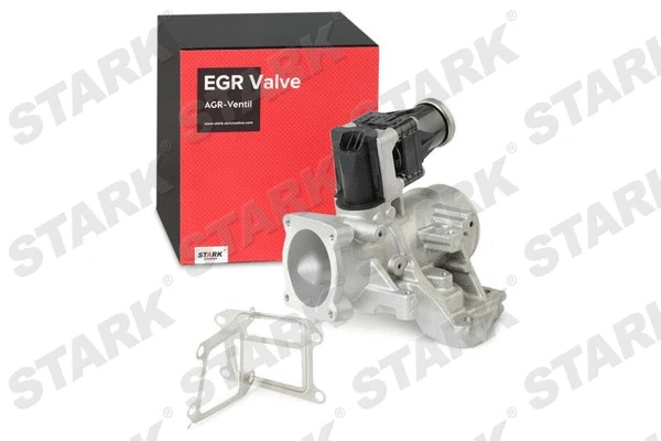 EGR Valve
