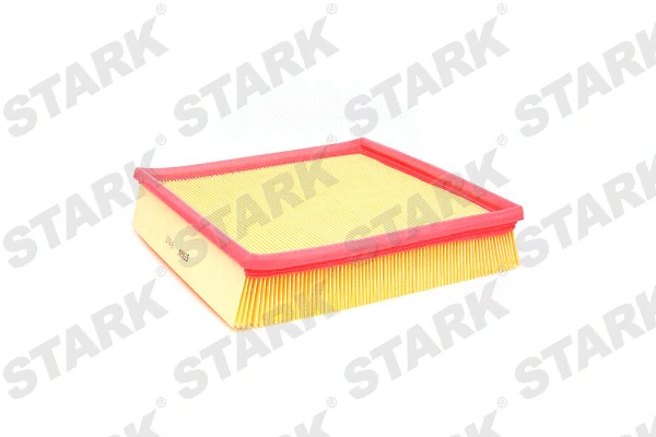 Air Filter (SKAF-0060100)