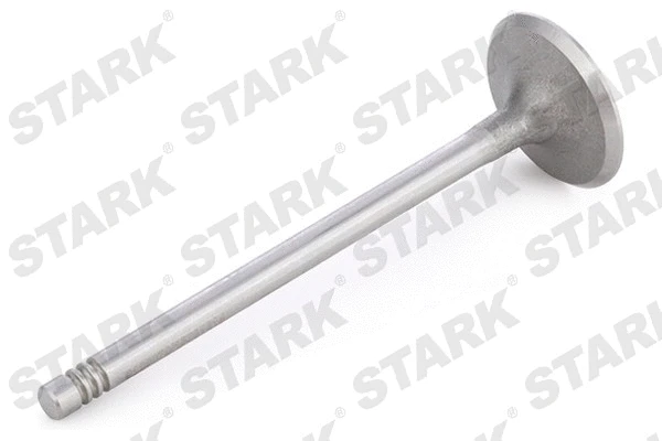 Intake Valve
