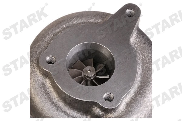 Charger, charging (supercharged/turbocharged) (SKCT-1190025)