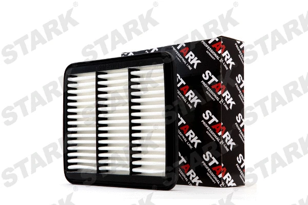 Air Filter (SKAF-0060231)