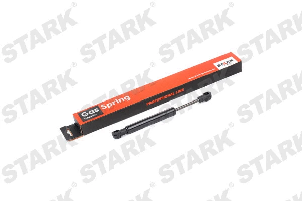 Gas Spring, boot/cargo area