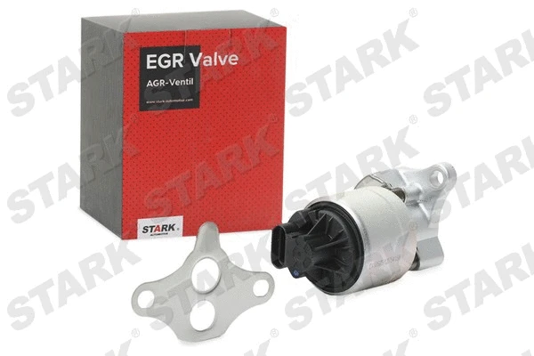 EGR Valve