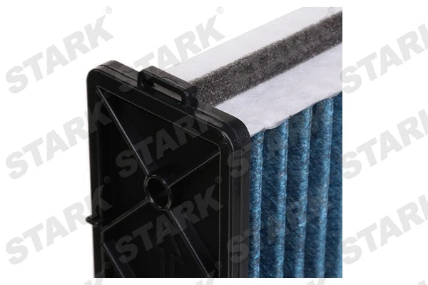 Filter, cabin air (SKIF-0170485)