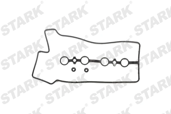 Gasket Set, cylinder head cover (SKGSR-0490030)