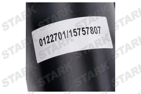 Air Suspension Strut (SKAST-1860057)