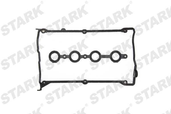 Gasket Set, cylinder head cover (SKGSR-0490001)