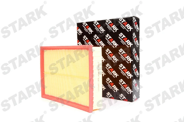 Air Filter (SKAF-0060303)