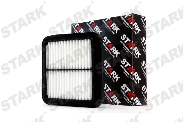 Air Filter (SKAF-0060251)