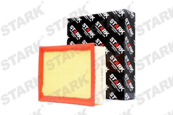 Air Filter (SKAF-0060171)