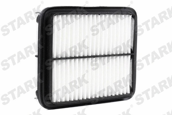 Air Filter (SKAF-0060420)