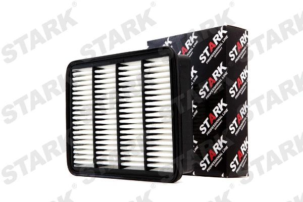 Air Filter (SKAF-0060068)