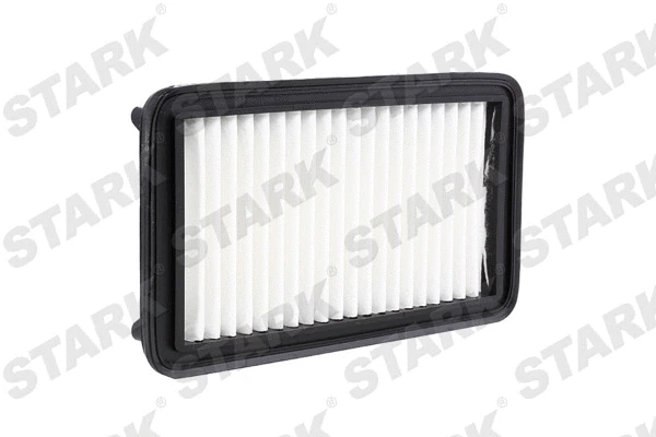 Air Filter (SKAF-0060389)