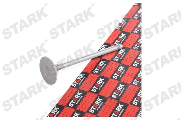 Intake Valve (SKINV-3270014)