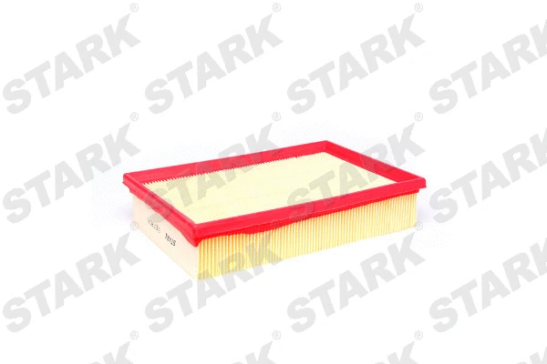 Air Filter (SKAF-0060086)
