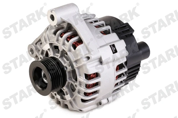 Alternator (SKGN-0321262)