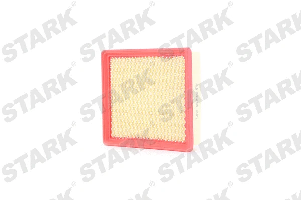 Air Filter (SKAF-0060254)