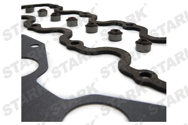 Gasket Kit, cylinder head (SKGSC-0510062)