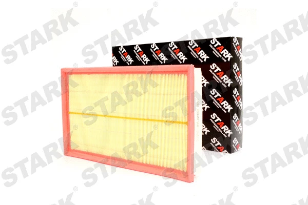 Air Filter (SKAF-0060113)