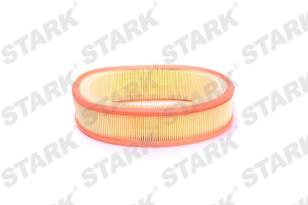 Air Filter (SKAF-0060207)