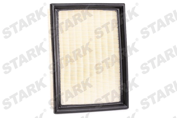 Air Filter (SKAF-0060076)