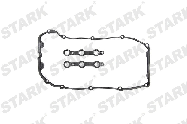 Gasket Set, cylinder head cover (SKGSR-0490002)