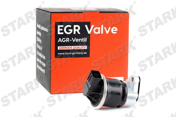 EGR Valve