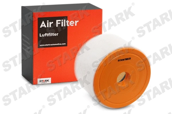 Air Filter (SKAF-0060409)
