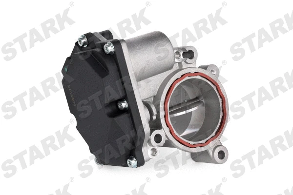 Throttle Body (SKTB-0430070)