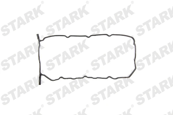 Gasket, cylinder head cover (SKGRC-0480049)