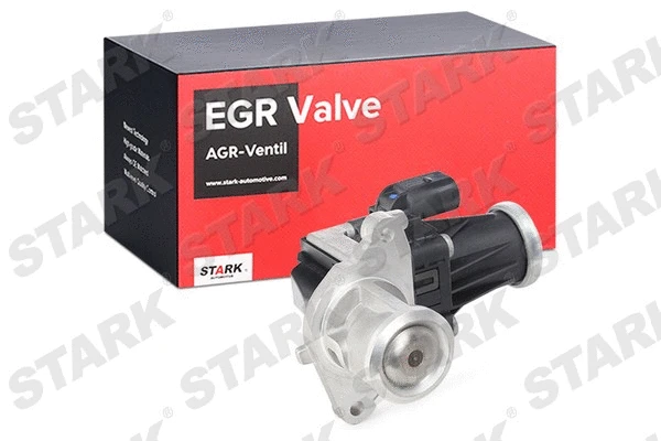 EGR Valve